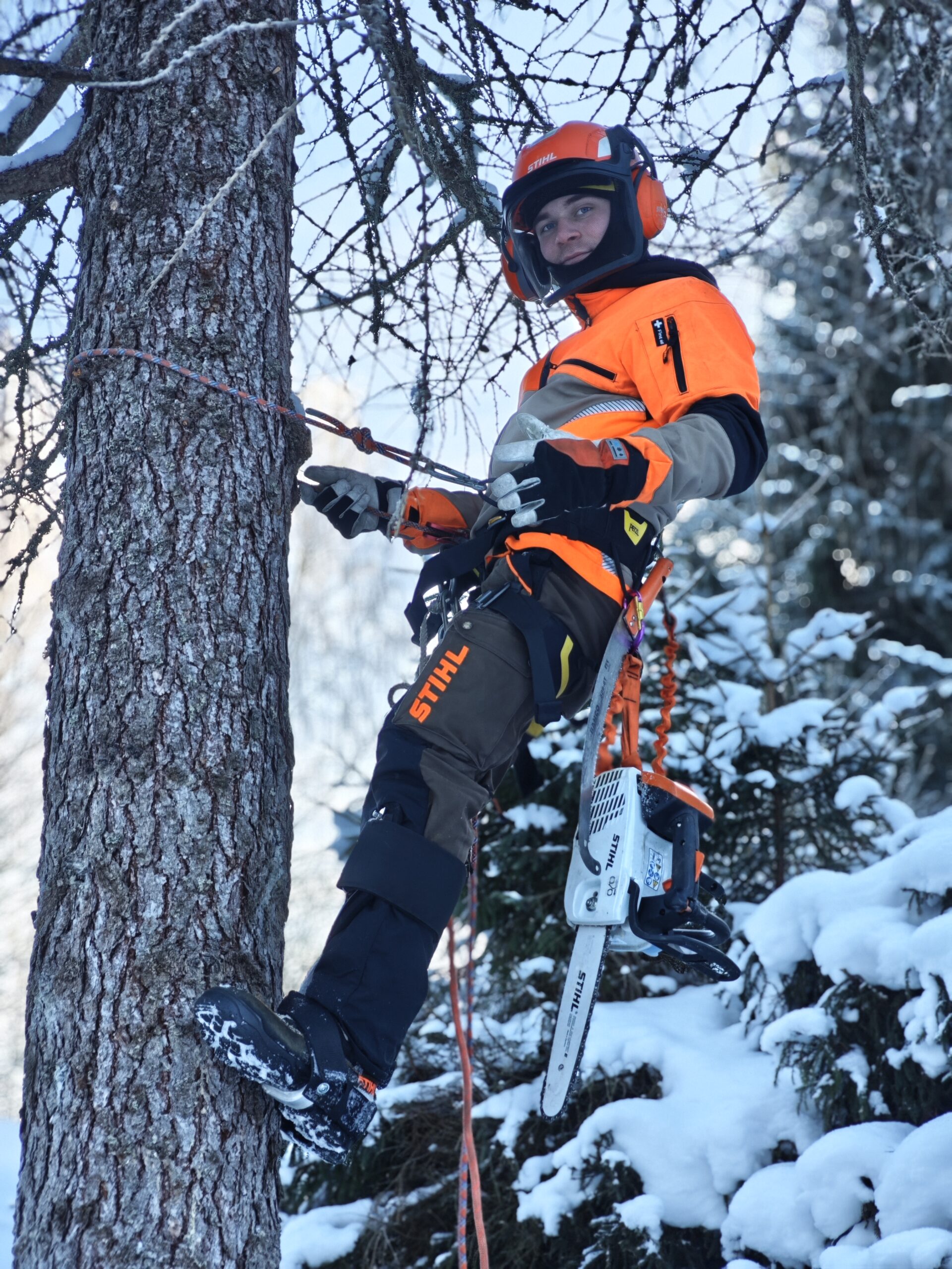 Finnish Forestry Professional